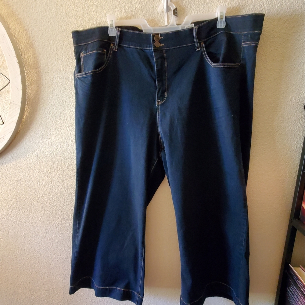 Terra & Sky 26w  High Rise jeans